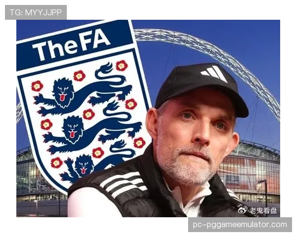 图赫尔暗讽裁判或遭追罚，英足总审查判罚争议